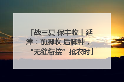 战三夏 保丰收丨延津：前脚收 后脚种，“无缝衔接”抢农时