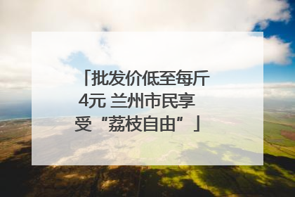 批发价低至每斤4元 兰州市民享受“荔枝自由”
