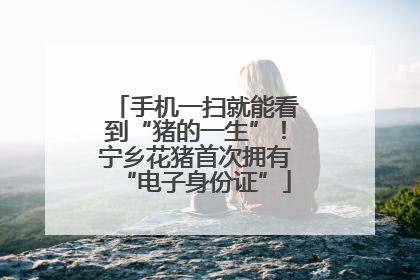 手机一扫就能看到“猪的一生”！宁乡花猪首次拥有“电子身份证”