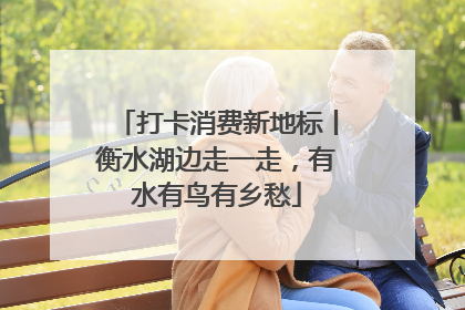 打卡消费新地标丨衡水湖边走一走，有水有鸟有乡愁