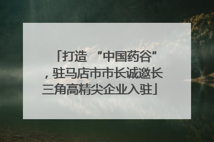 打造 “中国药谷”，驻马店市市长诚邀长三角高精尖企业入驻