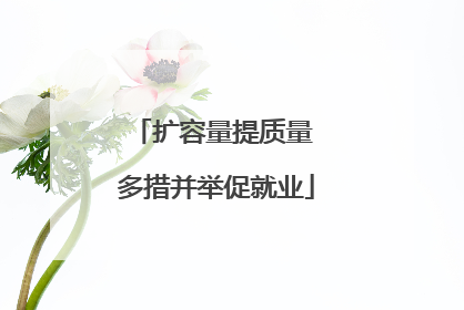 扩容量提质量 多措并举促就业