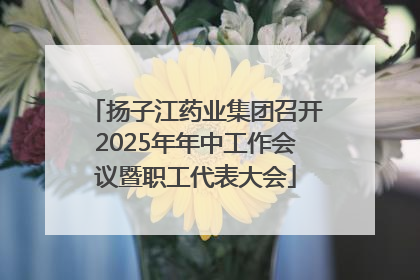 扬子江药业集团召开2025年年中工作会议暨职工代表大会