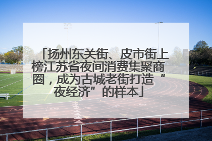扬州东关街、皮市街上榜江苏省夜间消费集聚商圈，成为古城老街打造“夜经济”的样本