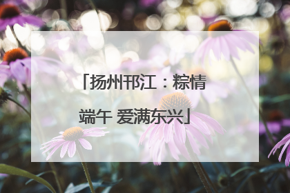 扬州邗江：粽情端午 爱满东兴