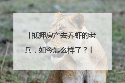 抵押房产去养虾的老兵，如今怎么样了？