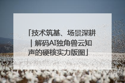 技术筑基、场景深耕｜解码AI独角兽云知声的硬核实力版图