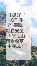 抓好“三夏”生产 保障粮食安全！平顶山市麦收基本完成