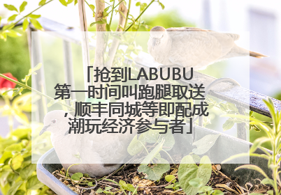 抢到LABUBU第一时间叫跑腿取送，顺丰同城等即配成潮玩经济参与者