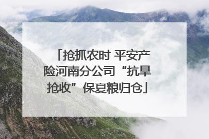 抢抓农时 平安产险河南分公司“抗旱抢收”保夏粮归仓