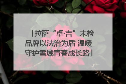 拉萨“卓·吉”未检品牌以法治为盾 温暖守护雪域青春成长路