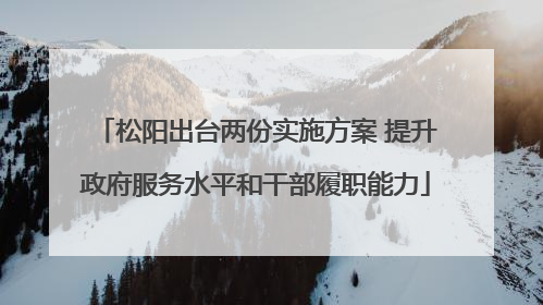 松阳出台两份实施方案 提升政府服务水平和干部履职能力