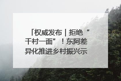权威发布｜拒绝“千村一面”！东阿差异化推进乡村振兴示范片区建设