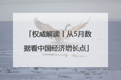 权威解读丨从5月数据看中国经济增长点
