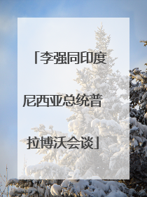 李强同印度尼西亚总统普拉博沃会谈