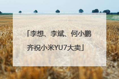 李想、李斌、何小鹏齐祝小米YU7大卖
