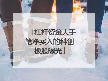杠杆资金大手笔净买入的科创板股曝光