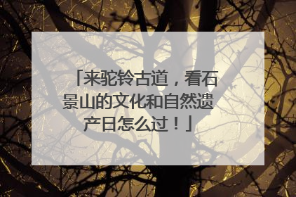 来驼铃古道，看石景山的文化和自然遗产日怎么过！