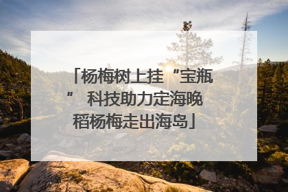 杨梅树上挂“宝瓶” 科技助力定海晚稻杨梅走出海岛