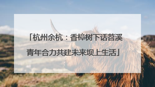 杭州余杭：香樟树下话苕溪 青年合力共建未来坝上生活