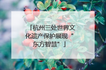 杭州三处世界文化遗产保护展现“东方智慧”