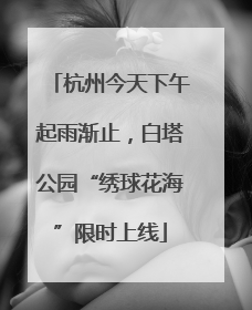 杭州今天下午起雨渐止，白塔公园“绣球花海”限时上线