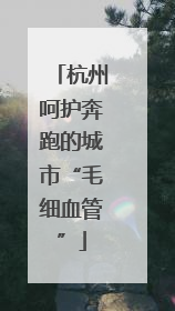 杭州呵护奔跑的城市“毛细血管”