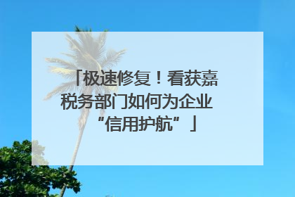 极速修复！看获嘉税务部门如何为企业“信用护航”