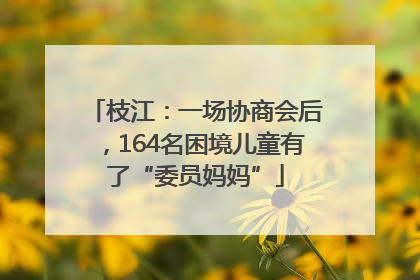 枝江：一场协商会后，164名困境儿童有了“委员妈妈”