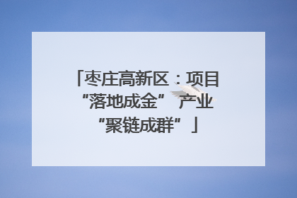 枣庄高新区：项目“落地成金” 产业“聚链成群”