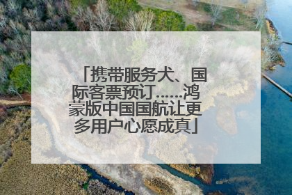 携带服务犬、国际客票预订……鸿蒙版中国国航让更多用户心愿成真