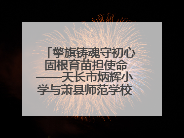 擎旗铸魂守初心 固根育苗担使命——天长市炳辉小学与萧县师范学校附属小学结对共建活动纪实