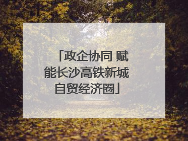 政企协同 赋能长沙高铁新城自贸经济圈