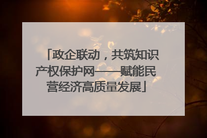 政企联动，共筑知识产权保护网——赋能民营经济高质量发展