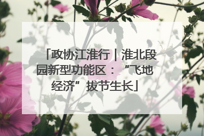 政协江淮行｜淮北段园新型功能区：“飞地经济”拔节生长