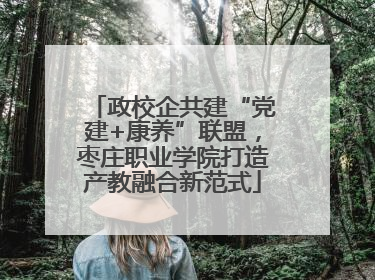 政校企共建“党建+康养”联盟，枣庄职业学院打造产教融合新范式