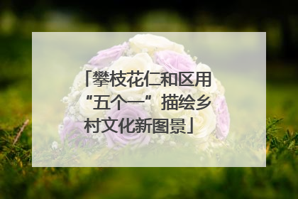 攀枝花仁和区用“五个一”描绘乡村文化新图景