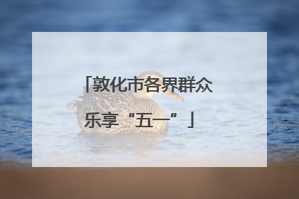 敦化市各界群众乐享“五一”