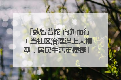 数智普陀 向新而行〡当社区治理遇上大模型，居民生活更便捷