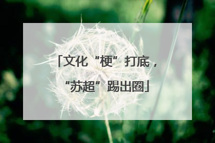 文化“梗”打底，“苏超”踢出圈