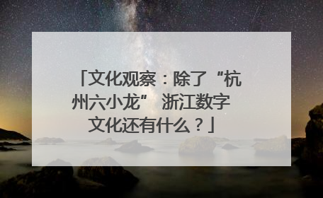 文化观察：除了“杭州六小龙” 浙江数字文化还有什么？