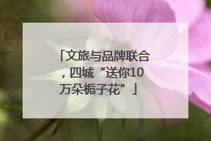 文旅与品牌联合，四城“送你10万朵栀子花”
