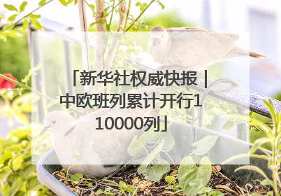 新华社权威快报｜中欧班列累计开行110000列