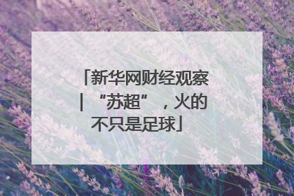 新华网财经观察｜“苏超”，火的不只是足球
