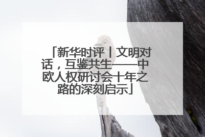 新华时评丨文明对话，互鉴共生——中欧人权研讨会十年之路的深刻启示