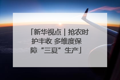 新华视点｜抢农时 护丰收 多维度保障“三夏”生产