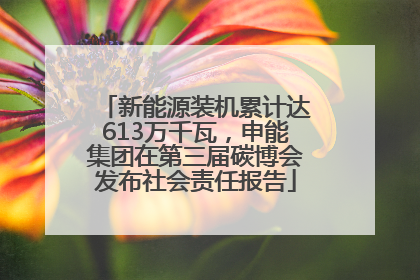 新能源装机累计达613万千瓦，申能集团在第三届碳博会发布社会责任报告
