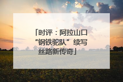 时评：阿拉山口“钢铁驼队”续写丝路新传奇