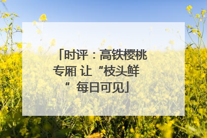时评：高铁樱桃专厢 让“枝头鲜”每日可见