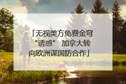 无视美方免费金穹“诱惑” 加拿大转向欧洲谋国防合作